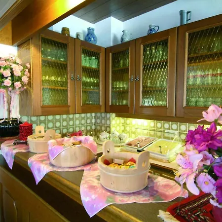 Garni Val-sinestra 3* Ischgl